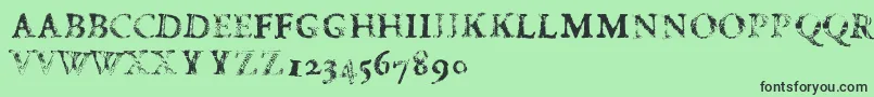 FdCarimboh Font – Black Fonts on Green Background