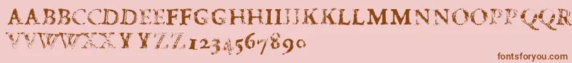 FdCarimboh Font – Brown Fonts on Pink Background