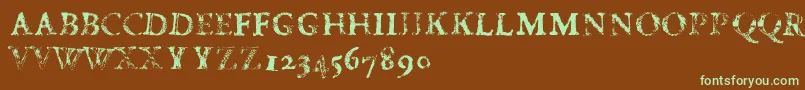 FdCarimboh Font – Green Fonts on Brown Background