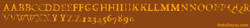 FdCarimboh Font – Orange Fonts on Brown Background