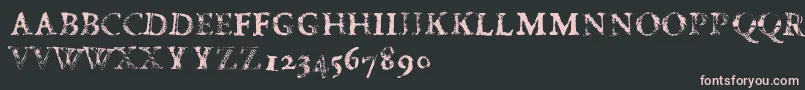 FdCarimboh Font – Pink Fonts on Black Background