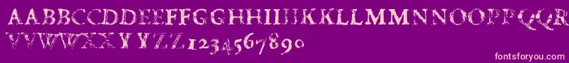 FdCarimboh Font – Pink Fonts on Purple Background
