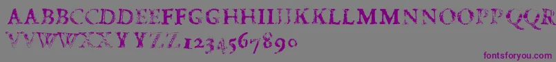 FdCarimboh Font – Purple Fonts on Gray Background