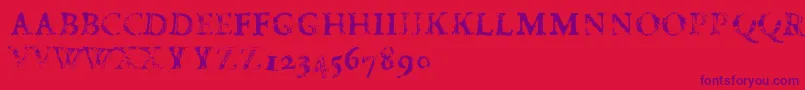 FdCarimboh Font – Purple Fonts on Red Background
