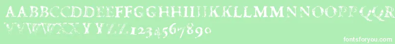 FdCarimboh Font – White Fonts on Green Background