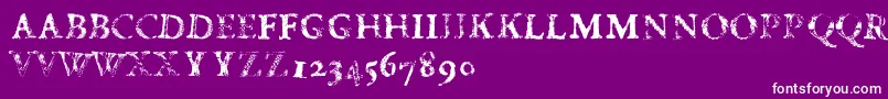 FdCarimboh-fontti – valkoiset fontit violetilla taustalla