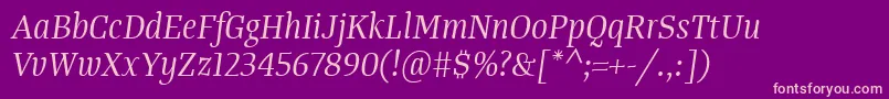 TangerserifnarrowBookitalic Font – Pink Fonts on Purple Background