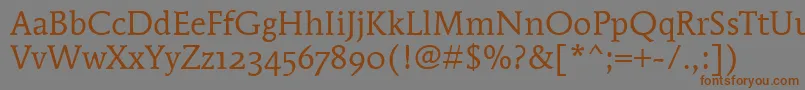 MendozaRomanOsItcTtBook Font – Brown Fonts on Gray Background