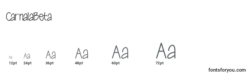 CarnalaBeta Font Sizes