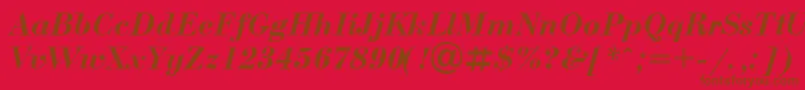 BodoniBolditalicCyrillic Font – Brown Fonts on Red Background