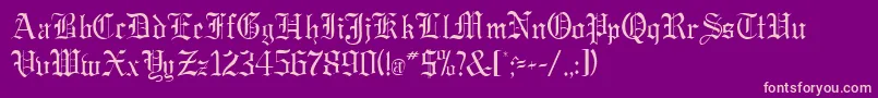 GregorianRegularDb Font – Pink Fonts on Purple Background