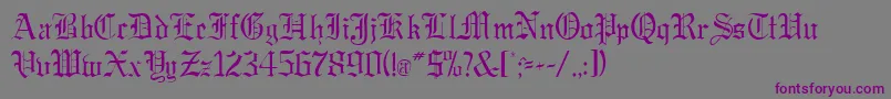 GregorianRegularDb Font – Purple Fonts on Gray Background