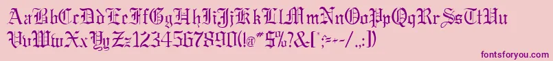 GregorianRegularDb Font – Purple Fonts on Pink Background