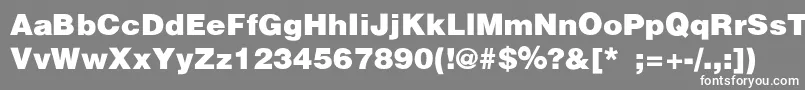 Czcionka HelveticaBlackSemibold – białe czcionki na szarym tle