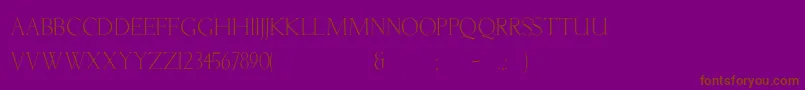 Lichtner-fontti – ruskeat fontit violetilla taustalla