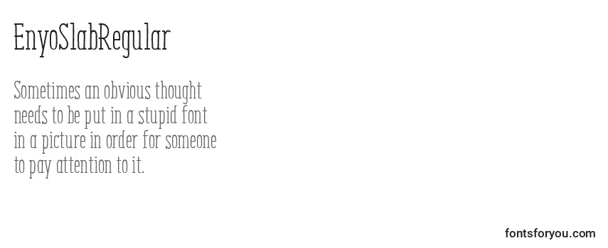 Review of the EnyoSlabRegular Font