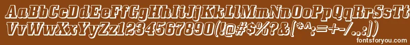 BullpenthreedRegular Font – White Fonts on Brown Background