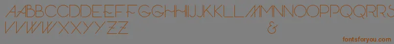 Weitere Informationen zur Skandar-Schriftart Skandar-Schriftart – Braune Schriften auf grauem Hintergrund