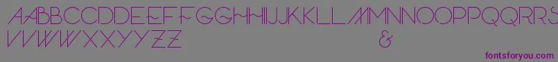 Skandar Font – Purple Fonts on Gray Background