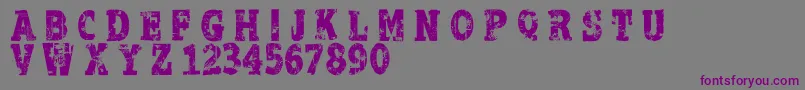 ApocalypseRegular Font – Purple Fonts on Gray Background