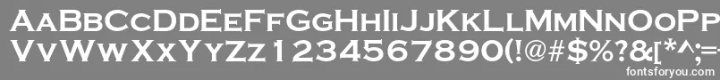 VacansiaextendedcBold Font – White Fonts on Gray Background