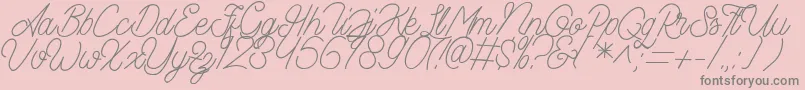 フォントAamonoline – ピンクの背景に灰色の文字