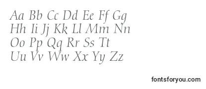 Обзор шрифта DiotimaltstdItalic