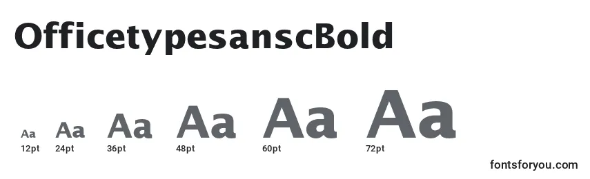Размеры шрифта OfficetypesanscBold