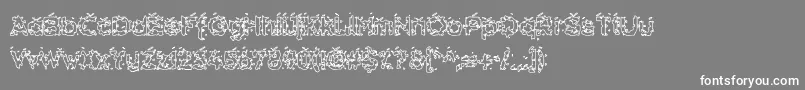 HammeroidHollow Font – White Fonts on Gray Background