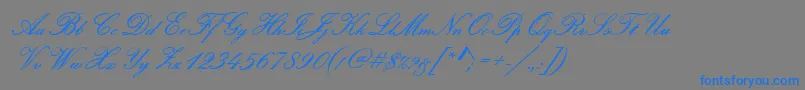 PamplonaRegular Font – Blue Fonts on Gray Background