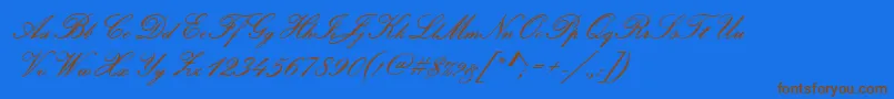 PamplonaRegular Font – Brown Fonts on Blue Background