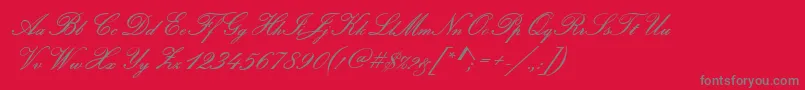 PamplonaRegular Font – Gray Fonts on Red Background