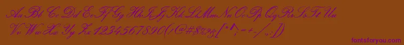 PamplonaRegular-Schriftart – Violette Schriften auf braunem Hintergrund