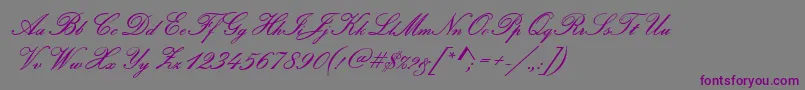 PamplonaRegular-Schriftart – Violette Schriften auf grauem Hintergrund