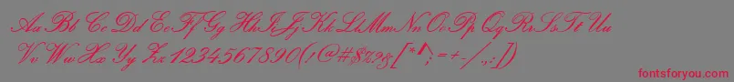PamplonaRegular Font – Red Fonts on Gray Background