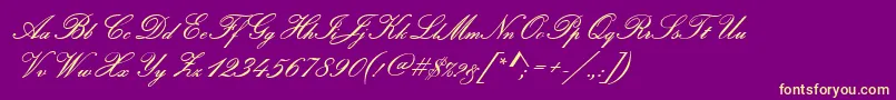 PamplonaRegular Font – Yellow Fonts on Purple Background