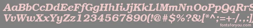 BookmancttBolditalic Font – Pink Fonts on Gray Background