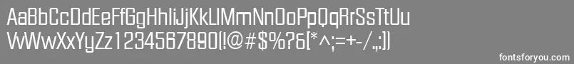 FacetRegular Font – White Fonts on Gray Background