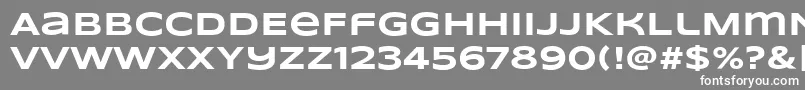 フォントSyncopateBold – 灰色の背景に白い文字