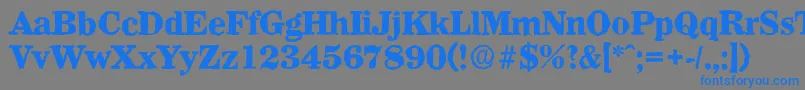 WichitaantiqueXboldRegular Font – Blue Fonts on Gray Background