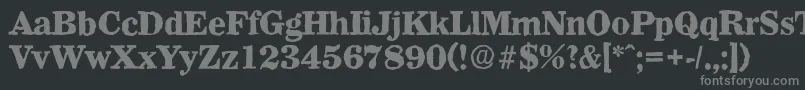 WichitaantiqueXboldRegular Font – Gray Fonts on Black Background