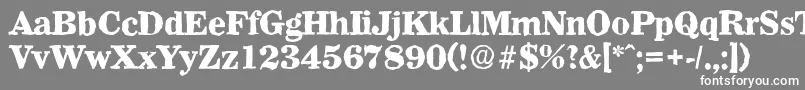 WichitaantiqueXboldRegular Font – White Fonts on Gray Background