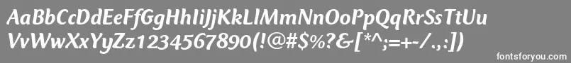 More about CtmercuriusstdMediumitalic Font CtmercuriusstdMediumitalic Font – White Fonts on Gray Background