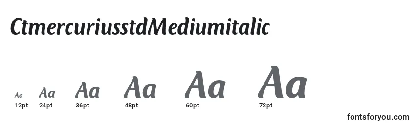 Размеры шрифта CtmercuriusstdMediumitalic