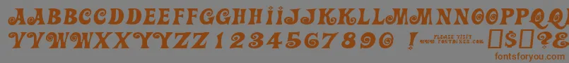 Actioniswiderjl Font – Brown Fonts on Gray Background