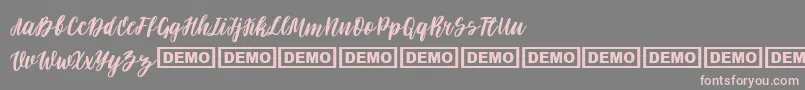 Darflow Font – Pink Fonts on Gray Background