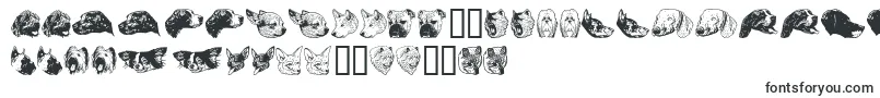 DoggyprintAoe Font – Uzbek Fonts