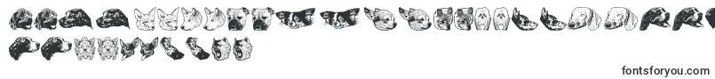 DoggyprintAoe-Schriftart – Schriften für Google Chrome
