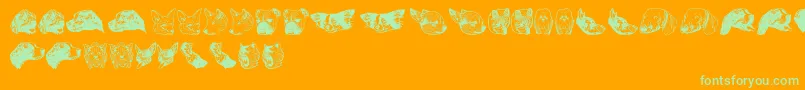 DoggyprintAoe Font – Green Fonts on Orange Background