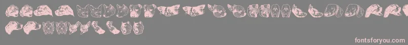 Czcionka DoggyprintAoe – różowe czcionki na szarym tle